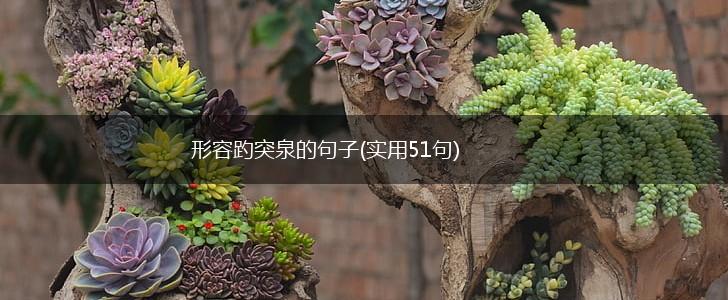 形容趵突泉的句子(实用51句),第1张