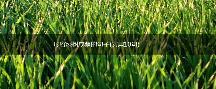 形容绿树成荫的句子(实用10句),第1张