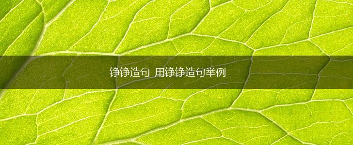 铮铮造句_用铮铮造句举例,第1张
