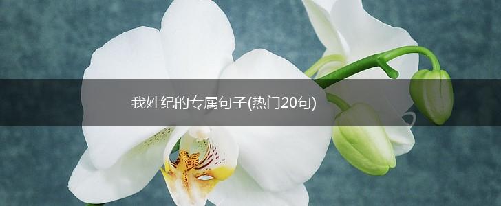 我姓纪的专属句子(热门20句),第1张