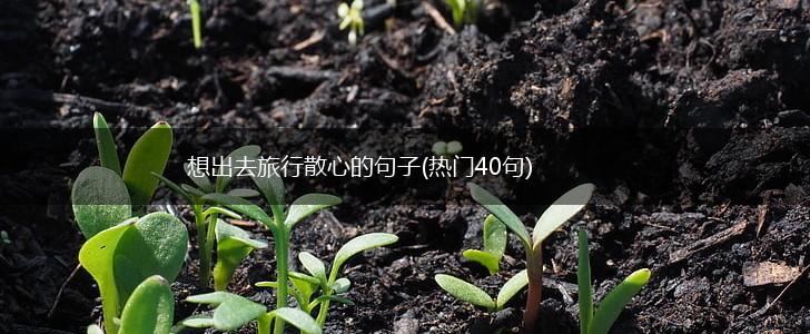 想出去旅行散心的句子(热门40句),第1张