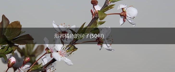 形容橘色的句子(50句),第1张