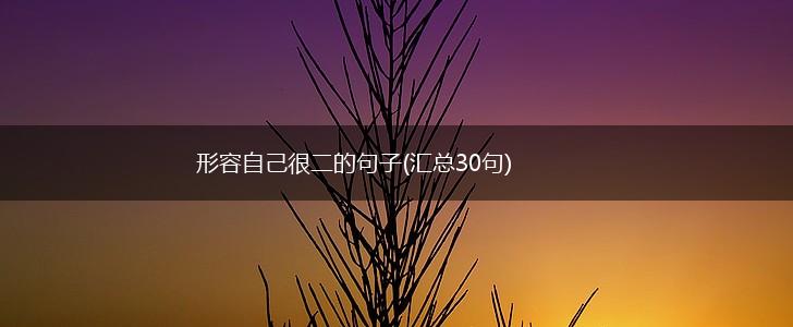 形容自己很二的句子(汇总30句),第1张
