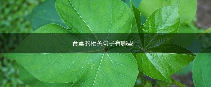 食堂的相关句子有哪些,第1张