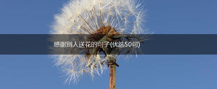 感谢别人送花的句子(优选50句),第1张