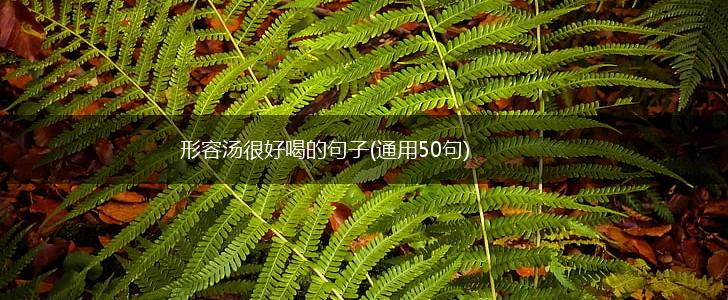形容汤很好喝的句子(通用50句),第1张