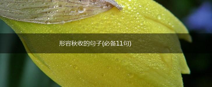 形容秋收的句子(必备11句),第1张