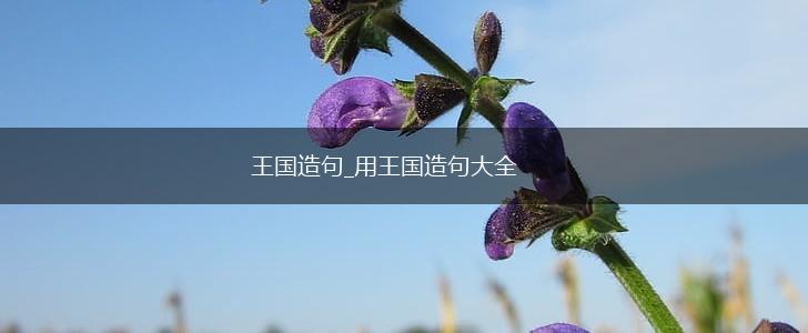 王国造句_用王国造句大全,第1张