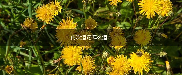 再次造句怎么造,第1张