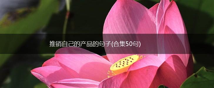 推销自己的产品的句子(合集50句),第1张