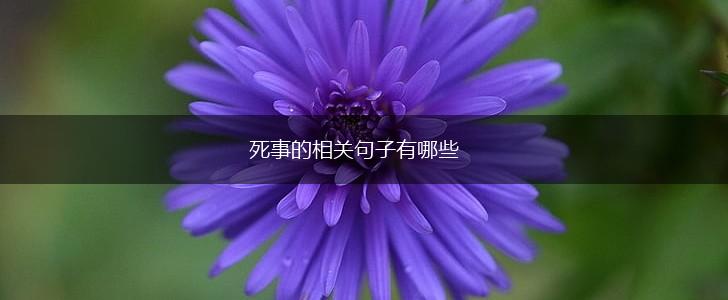死事的相关句子有哪些,第1张
