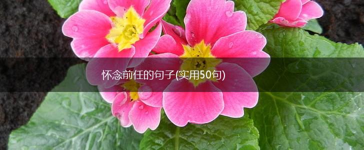 怀念前任的句子(实用50句),第1张