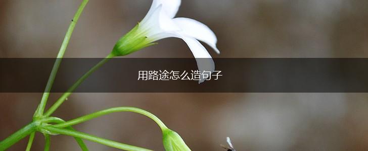 用路途怎么造句子,第1张