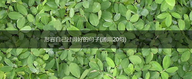 形容自己过得好的句子(通用20句),第1张