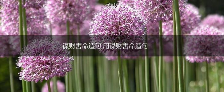 谋财害命造句,用谋财害命造句,第1张