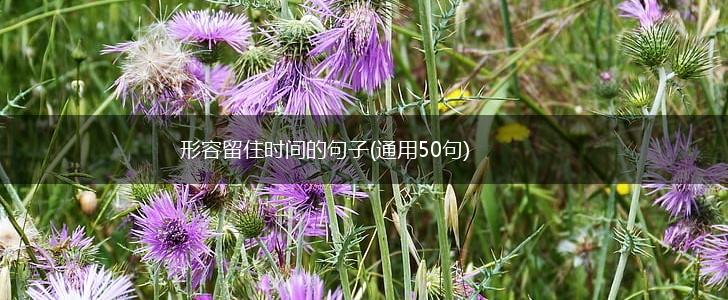 形容留住时间的句子(通用50句),第1张
