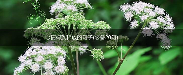 心情得到释放的句子(必备20句),第1张