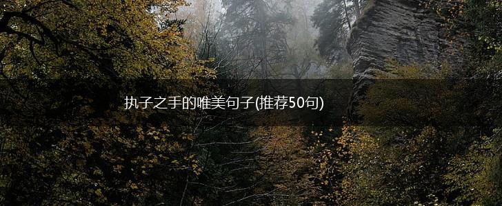 执子之手的唯美句子(推荐50句),第1张