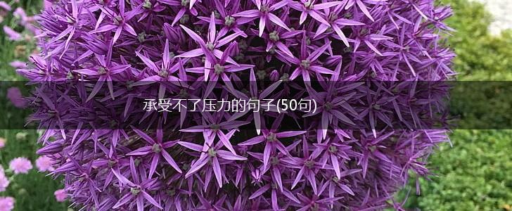 承受不了压力的句子(50句),第1张