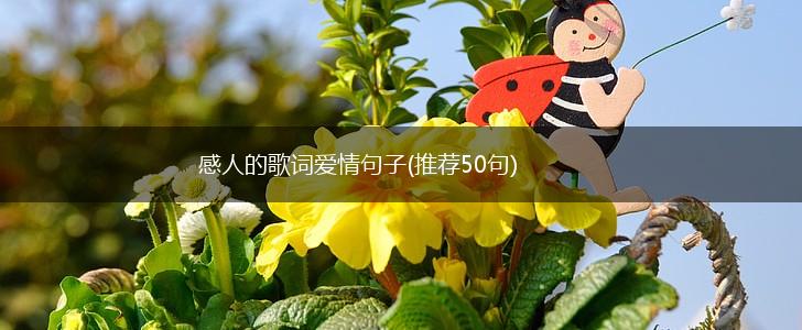 感人的歌词爱情句子(推荐50句),第1张