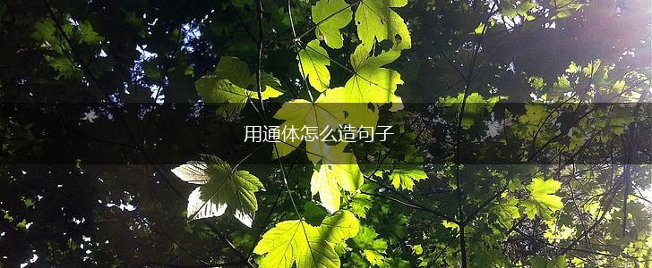 用通体怎么造句子,第1张
