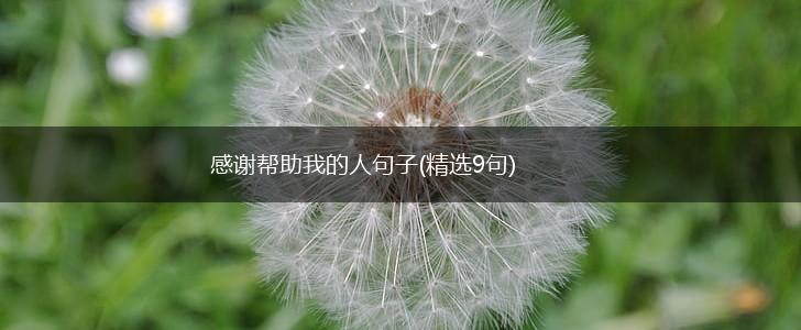感谢帮助我的人句子(精选9句),第1张