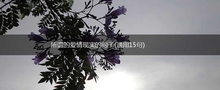 所谓的爱情现实的句子(通用15句),第1张