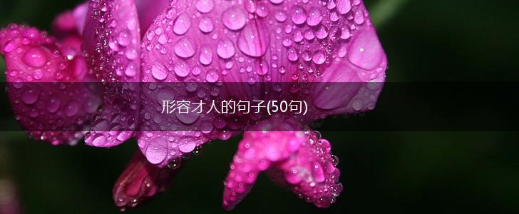 形容才人的句子(50句),第1张