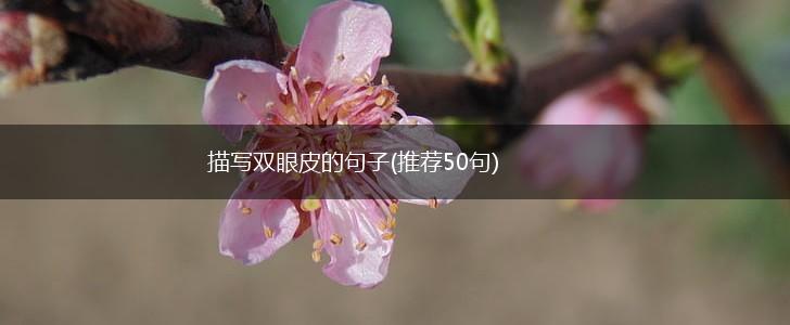 描写双眼皮的句子(推荐50句),第1张