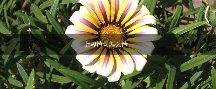 上界造句怎么造,第1张
