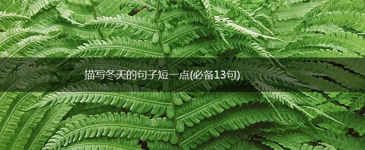 描写冬天的句子短一点(必备13句),第1张