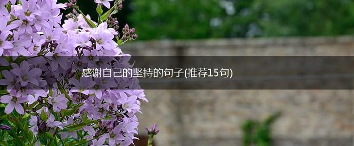 感谢自己的坚持的句子(推荐15句),第1张