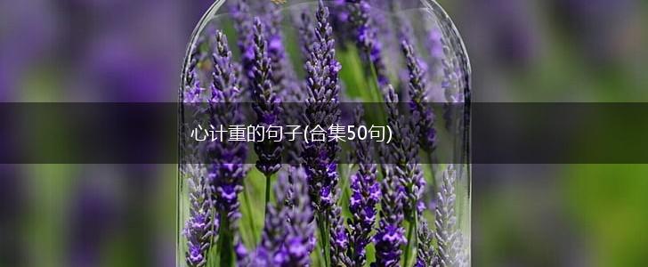 心计重的句子(合集50句),第1张
