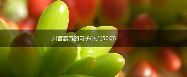 抖音霸气的句子(热门50句),第1张