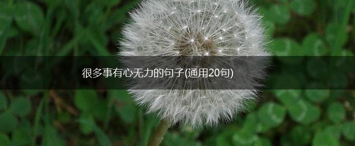 很多事有心无力的句子(通用20句),第1张