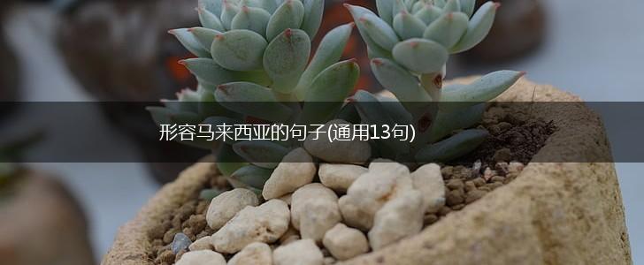 形容马来西亚的句子(通用13句),第1张