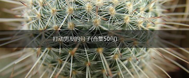 打动男友的句子(合集50句),第1张