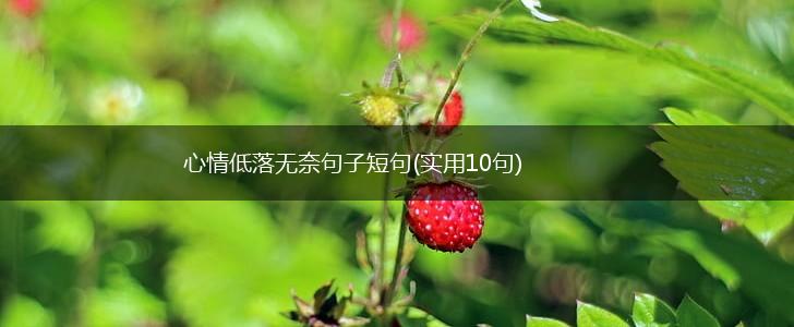 心情低落无奈句子短句(实用10句),第1张