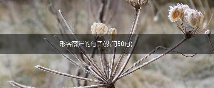 形容薛洋的句子(热门50句),第1张