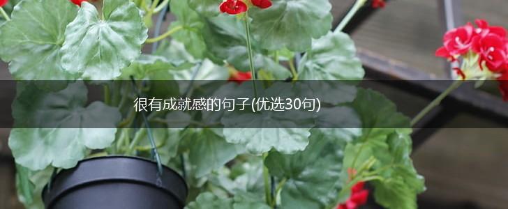 很有成就感的句子(优选30句),第1张