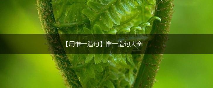 【用惟一造句】惟一造句大全,第1张