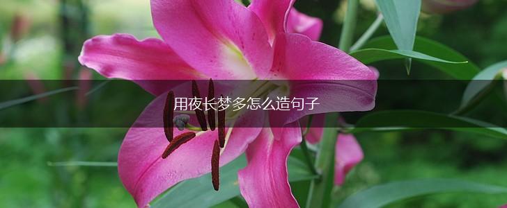 用夜长梦多怎么造句子,第1张