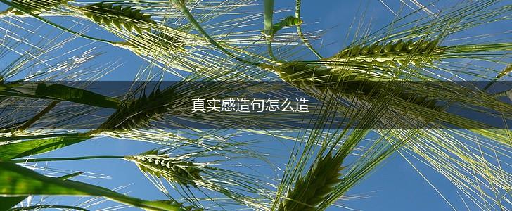 真实感造句怎么造,第1张