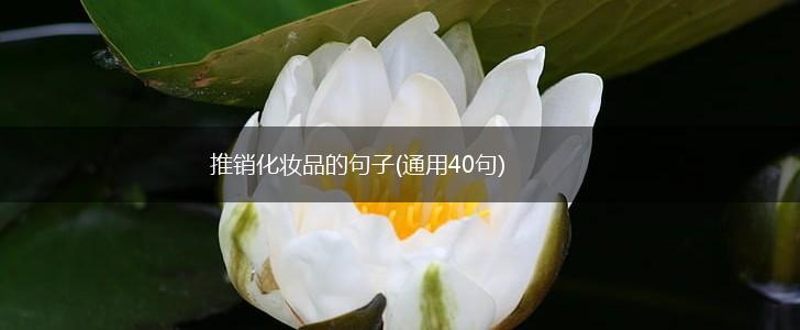 推销化妆品的句子(通用40句),第1张