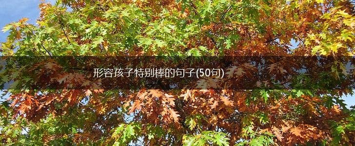形容孩子特别棒的句子(50句),第1张