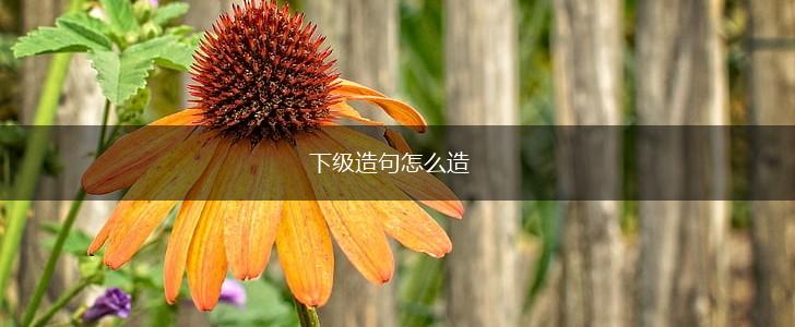 下级造句怎么造,第1张
