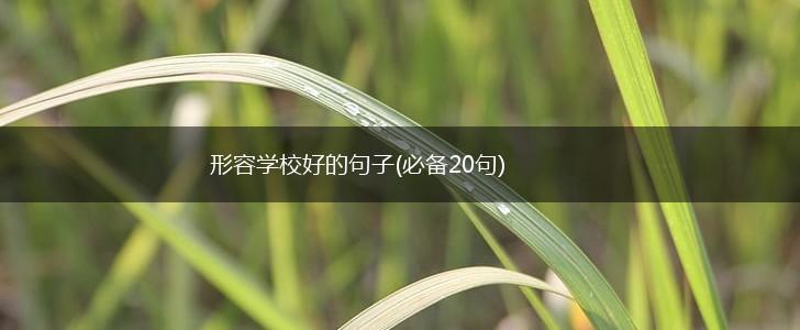 形容学校好的句子(必备20句),第1张