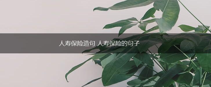 人寿保险造句 人寿保险的句子,第1张