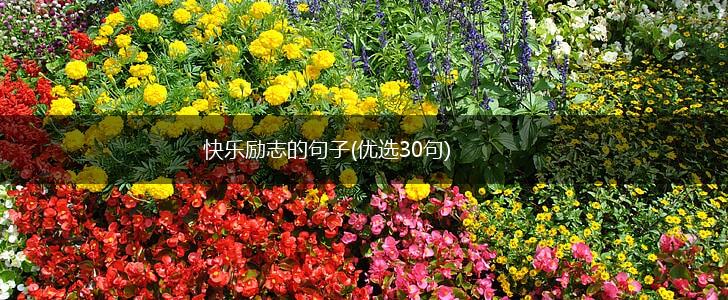 快乐励志的句子(优选30句),第1张