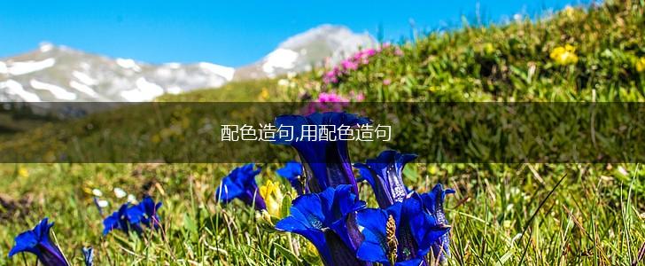 配色造句,用配色造句,第1张